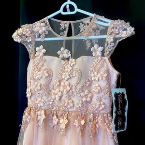 Baby pink dress for girl 10-14 years old . Good for parties. 40 inches long.